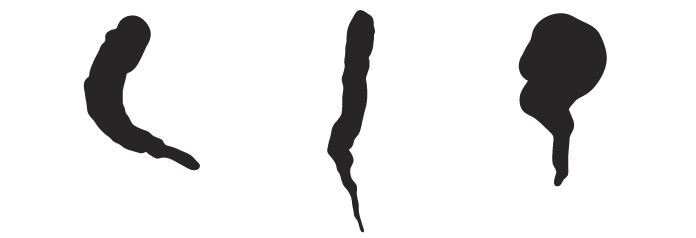 hurricane_rorschach